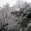 하얀세상 이미지