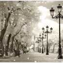 개미행정사 이미지