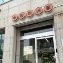 속초 애견동반 강원도 당일치기 수빈이네찜, 카페우디, 마카오박, 중앙시장
