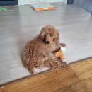 하우농장 이미지