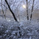 우장산근린공원 이미지