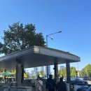 치아룸 치과기공소 | 잠실새내 치과 추천, 치아미백 스케일링 내돈내산 받고 온 후기