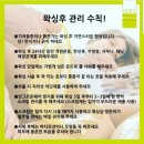 브라질리언 왁싱 천안 불당 그날엔 엘리스 내돈내산 후기
