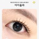 문정동 속눈썹연장 펌포인트 아이돌 눈매 만든 후기