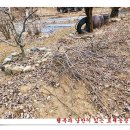 효세농장 이미지