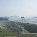 주식회사프로젝트코리아 이미지