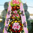 하담약국 이미지