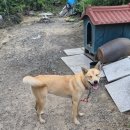 천명농장 이미지