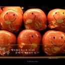 착하면돼지