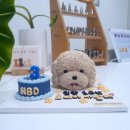 퍼피야미 이미지