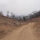 세광 부동산중개사무소 이미지