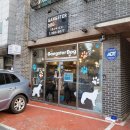 갱스터 도그 | 고급진 일산 애견 용품 샵 * 갱스터도그에서 지름신 뿜뿜 ❣