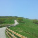 양양목장 이미지