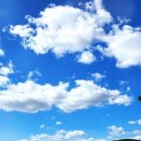 한국마사회 제주육성목장 동물병원 | 제주의 가을 드라이브길