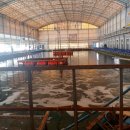 황산초지사계절바다낚시터 이미지