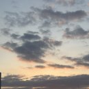 사평대로26길 9-3 | 벌써 3월 하고도 20일이라 ,,,