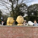 예래동사무소 | 2023년 1월 상반기 결산