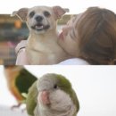 단식농장 이미지