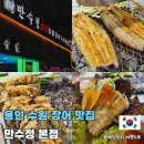 남수원큰사랑약국 | 용인 수원 장어 맛집 제대로 구운 숯불장어 만수정 본점 후기