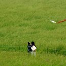 저수지목장 이미지