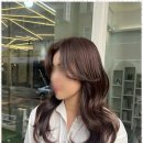 반송동미용실 반송동 최고의 헤어스타일을 찾아서: 코바이인스헤어 후기