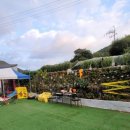 황금노을민박 이미지