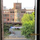 소피마르소산부인과의원 이미지