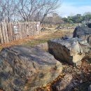 상동 지석묘군 이미지