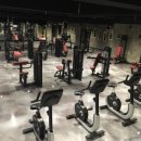 머슬피플 이미지