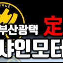 명품카모터스