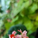 뉴라이프(NewLife) 이미지