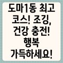 행복충전 | 대전 서구 도마1동 최고의 조깅 코스 추천: 건강과 행복 충전하세요!