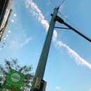 허니피씨 이미지