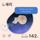 (주)우리마트 언양점 | 17~23weeks, 체력이 돌아왔다(과연)