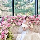 [결혼준비❤️CHAPTER19] 본격 본식 드레스 고르기!~ [대전_웨이비, 루즈앤모니끄, 에고스포사]