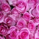 만봉농장 이미지