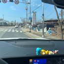팔공산 애견동반식당 / 명산한우식육식당 :D 넓은 애견 운동장이 있는 팔공산 한우 맛집