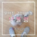 냥블링