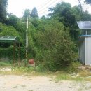 11650-13-10-13 이미지