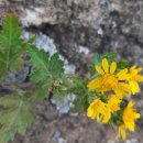 대정농협주유소 이미지