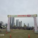 대밭 이미지