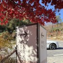 주차11 | 화담숲 11월후기 | 주차 모노레일 단풍시기 날씨