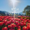 어린이 독서퀴즈(4월) | 2026 4월의 국가정원, 벚꽃부터 튤립까지 가든피크닉