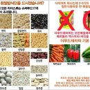 건강한테라피 이미지