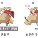 동광한의원 이미지