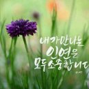 맥향