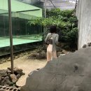 카페 부촌