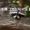 환경종합 행정사 이미지