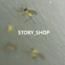 스토리샵 네이버블로그