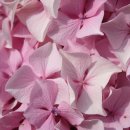 백산의료기 이미지